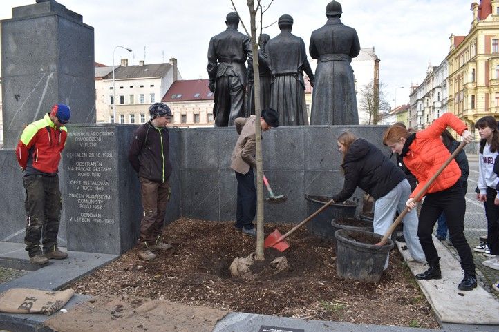 Fotografie: B. Hájková 240404_Lipa_TGM_1