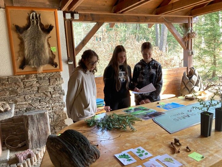 Ilustrační foto 240409_Sofronka_deti_3