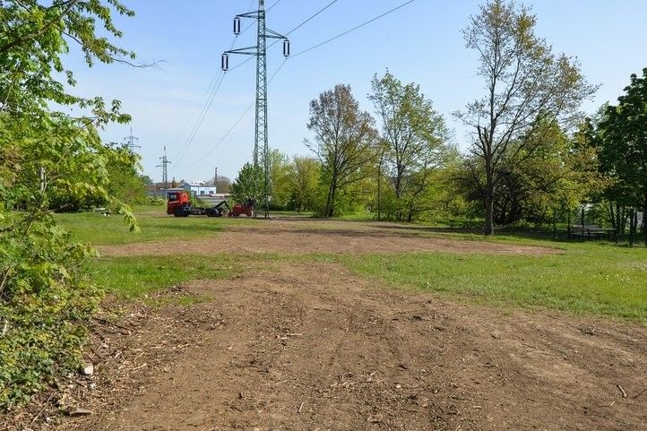 Louka pod elektrickým vedením v Borském parku. Fotografie: M. Pecuch, M. Krausová 240514_louka_borsky_park_02