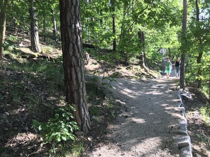 Cesta nad Velkým boleveckým rybníkem. 240521_stezky_bolevak_02