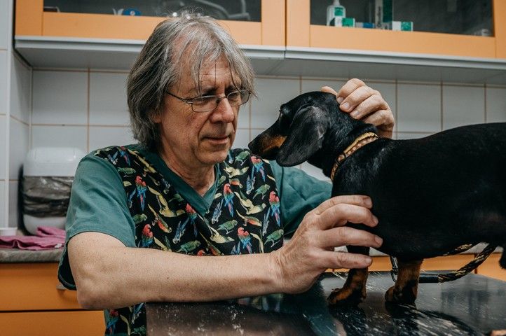 Foto: M. Říský 240531_Veterinar_Huml