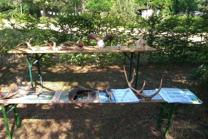 Ilustrační fotografie z předchozích ročníků. 240605_vikend_otevrenych_zahrad_04