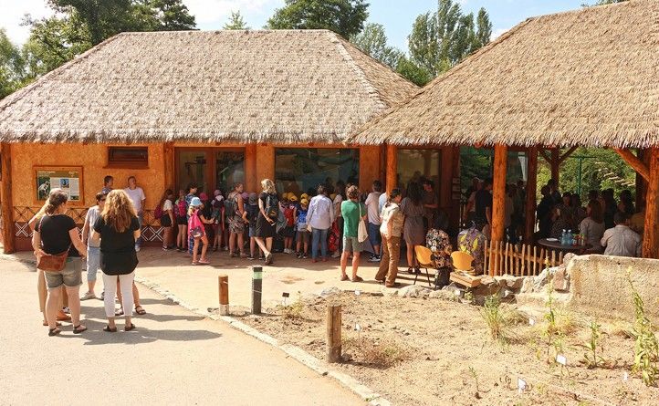 Fotografie: H. Josefová a K. Misíková 240626_Guereza_Zoo_Misikova_5