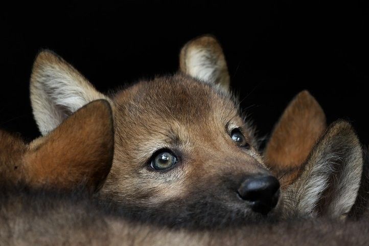 Zdroj: Kateřina Misíková 240808_vcata_01