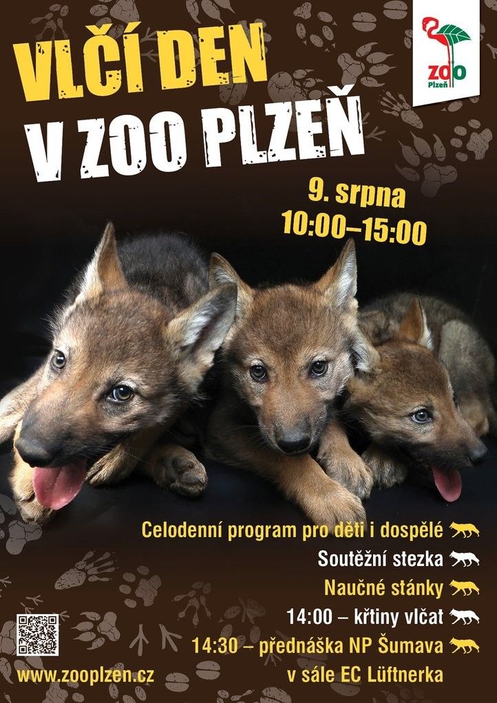 Zdroj: Zoo Plzeň 240808_vcata_02