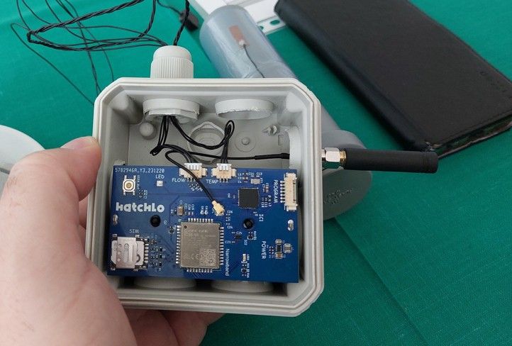 Zdroj fotografií: Správa informačních technologií města Plzně 240828_Pine_Hatchlo