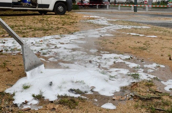 Fotografie: R. Žáková 240912_Hubeni_plevel_2