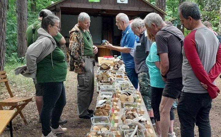 Zdroj foto: archiv SVSMP 240925_Sofronka_Houby
