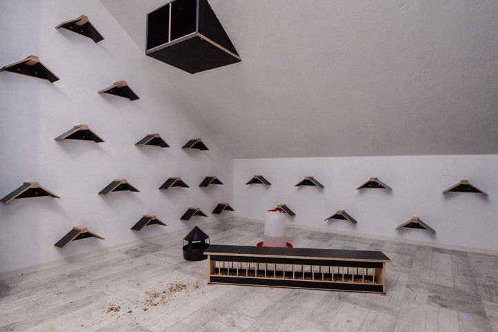 Fotografie: M. Pecuch 241010_Holubnik_3