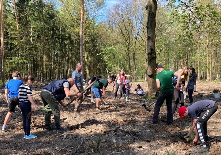 Zdroj fotografií: Správa veřejného statku města Plzně 241023_Den_lesa_4
