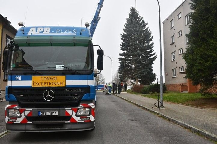 Letošní vánoční strom vyrostl na Doubravce. Fotografie: R. Žáková 241111_vanocni_strom_03