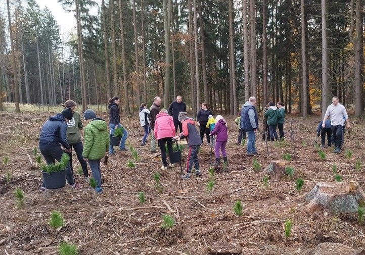 Zdroj fotografií: archiv SVSMP 241122_Sazeni_stromu_2