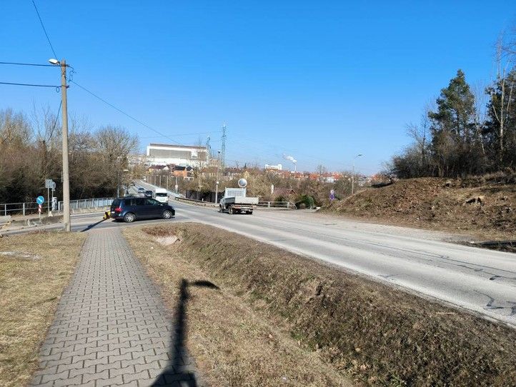 250221_Vysluni_kaceni_stromy_1