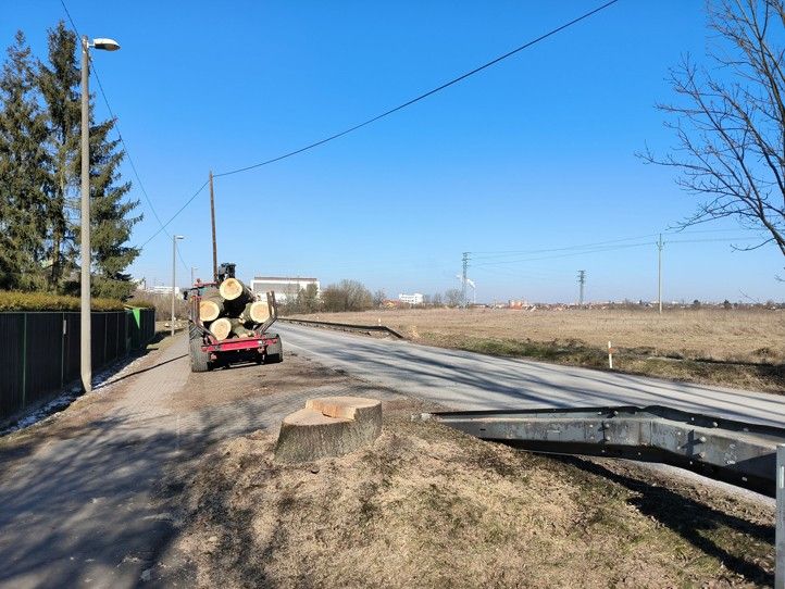 250221_Vysluni_kaceni_stromy_3