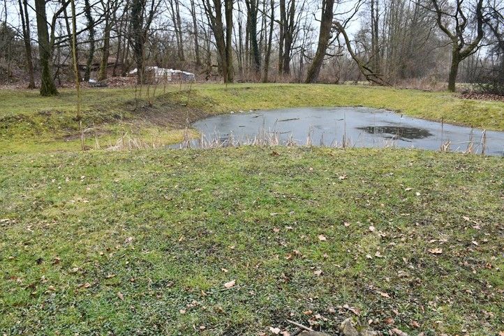 Fotografie: R. Žáková 250310_Lochotinsky_park_2