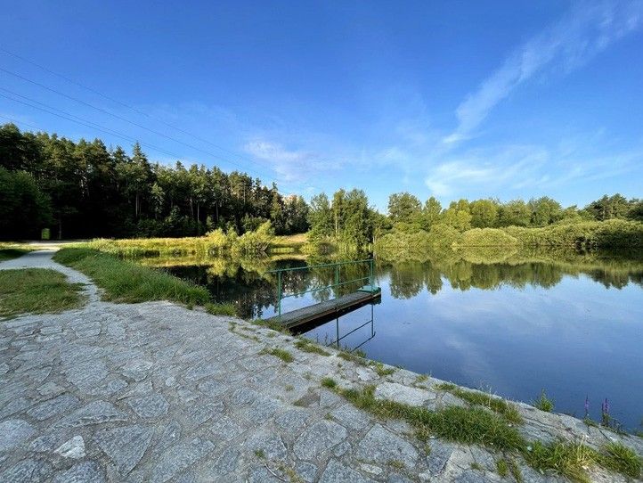 Rybník Nováček (fotografie: M. Gregar) 250321_Rybnik_Novacek_Foto_Gregar_1