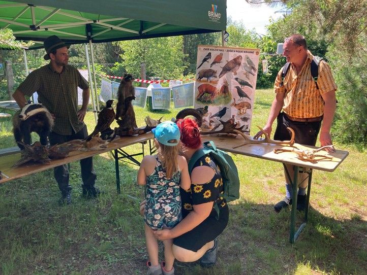 250523_Plzen_zahrady_3