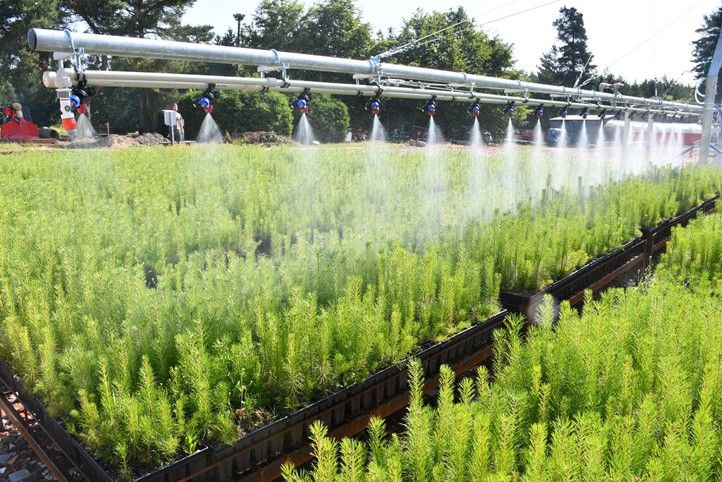 Mostová závlaha (fotografie: R. Žáková) 250702_Mostova_zavlaha_1
