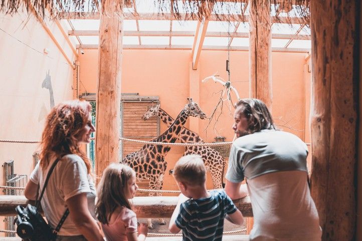 Zdroj ilustračních fotografií: Plzeň - TURISMUS 250702_Zoo_Turismus_2