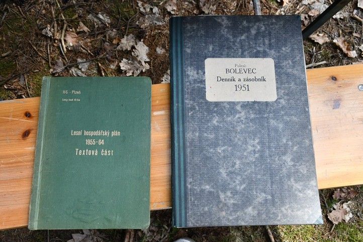 250718_Lesy_Plzen_Lesni_hospodarstvi_hist