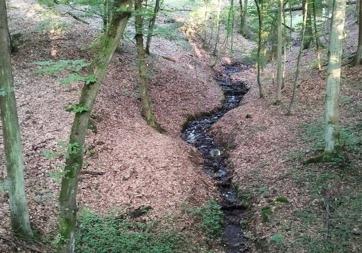 Obnova hráze rybníka v Zábělé. Fotografie: R. Žáková, M. Sekáč 250806_Vodni_Nadrz_Zabela_05