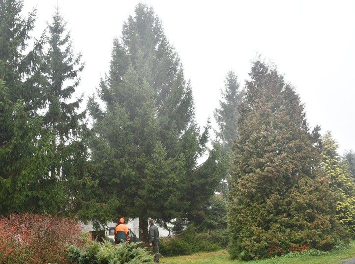 Fotografie: R. Žáková 251112_Vanocni_strom_svoz_4