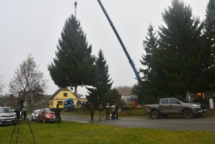 Fotografie: R. Žáková 251112_Vanocni_strom_svoz_5