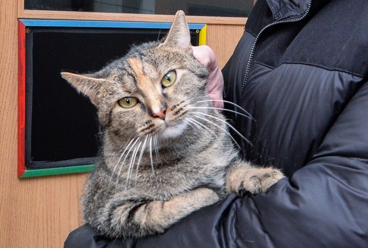 260127_Utulek_psi_kocky_zvirata_3