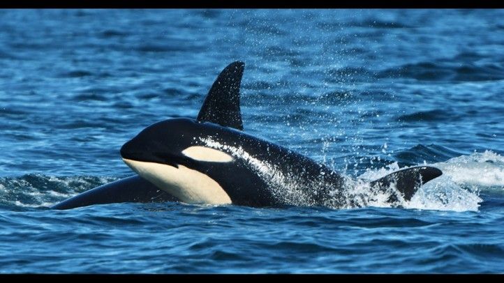 260202_Moving_Station_3