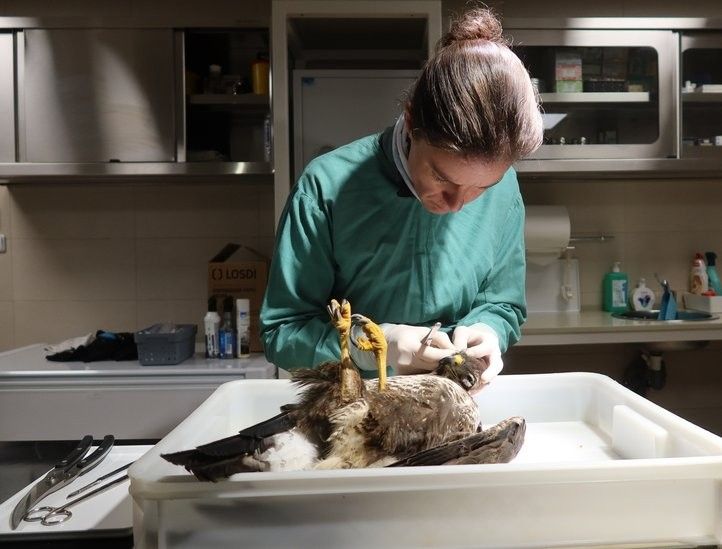 260210_Záchranná_Stanice_Živočichů_06