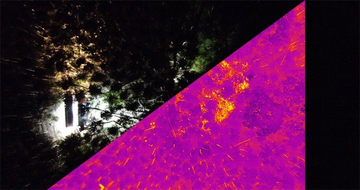 260212_Dron_priroda_Termo_1