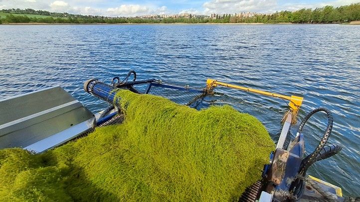 Zdroj fotografií: Správa veřejného statku města Plzně 260521_Bolevak_2