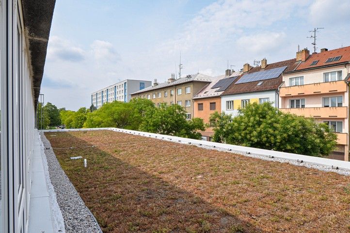Slavnostní otevření modernější jídelny 11. ZŠ (fotografie: M. Pecuch) 260901_11_ZS_pristavba_zelena_strecha_3